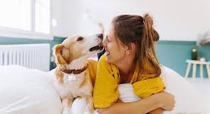 ASPCA Pet Health Insurance Review Plans, Prices, and What’s Excluded
